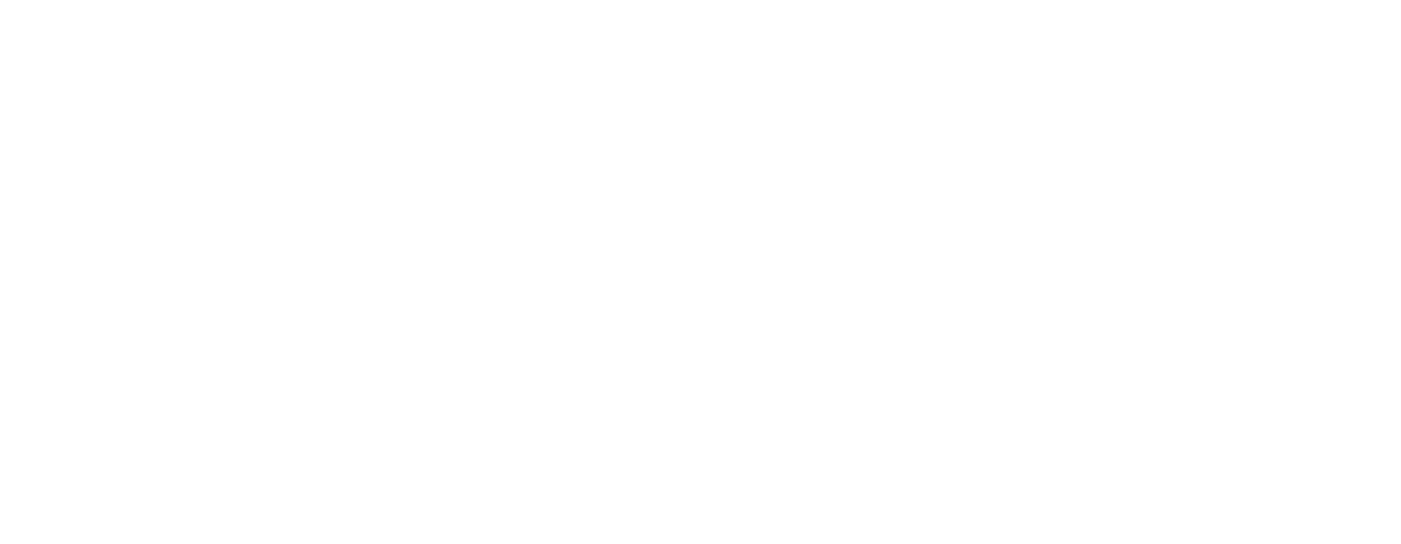 Fly-sky
